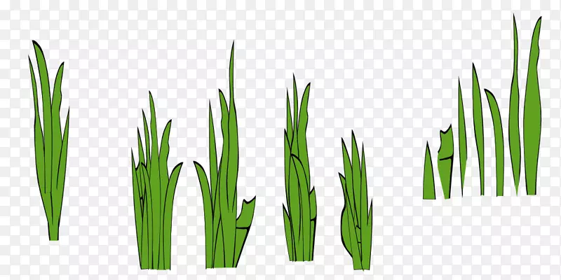 ��ƺ������-�ݴ�-������