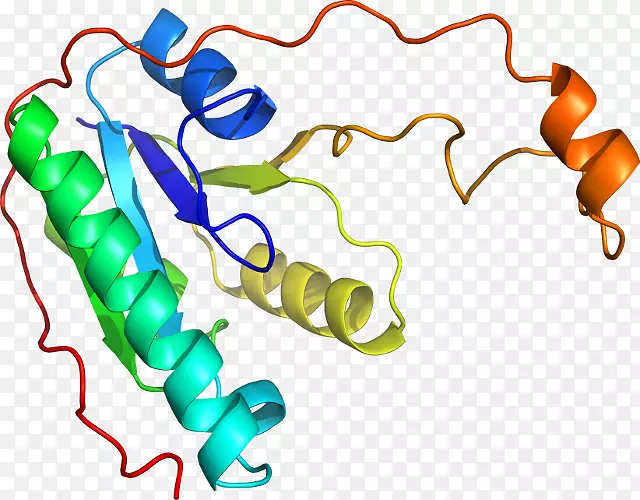 �ߵ������������-������