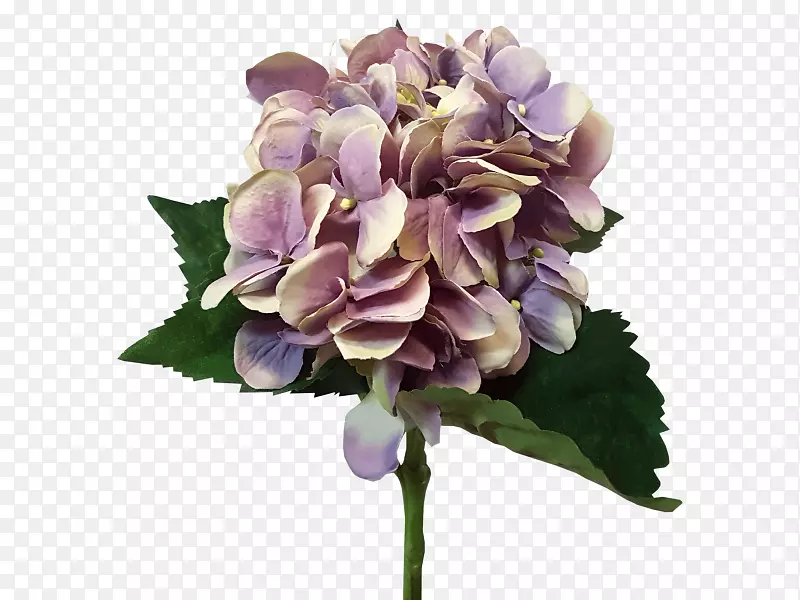 �����л������˹�����-������