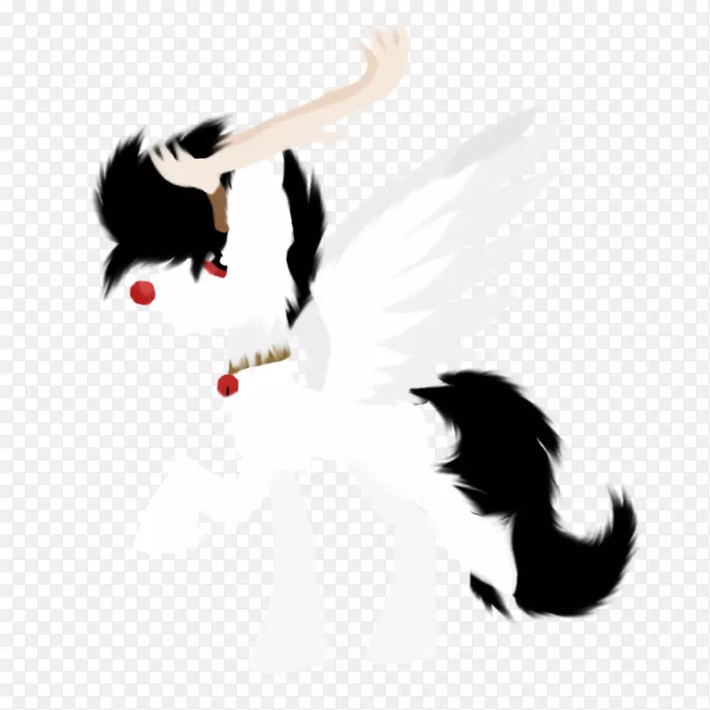 ���β��-������