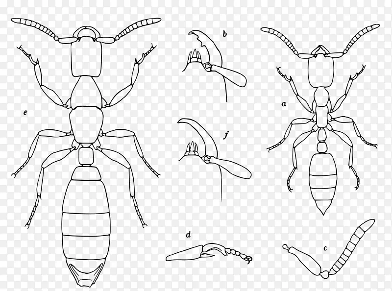 �۳�Ŀ����-������