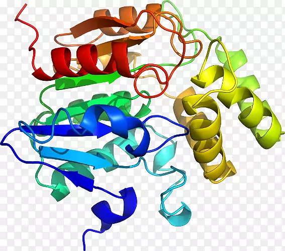 �ߵ������������-������