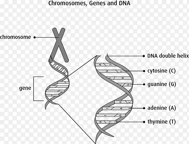 ��ָ��ͼ�ļ�/m/02csf-��ϸ����ϸ��Ϣ-������
