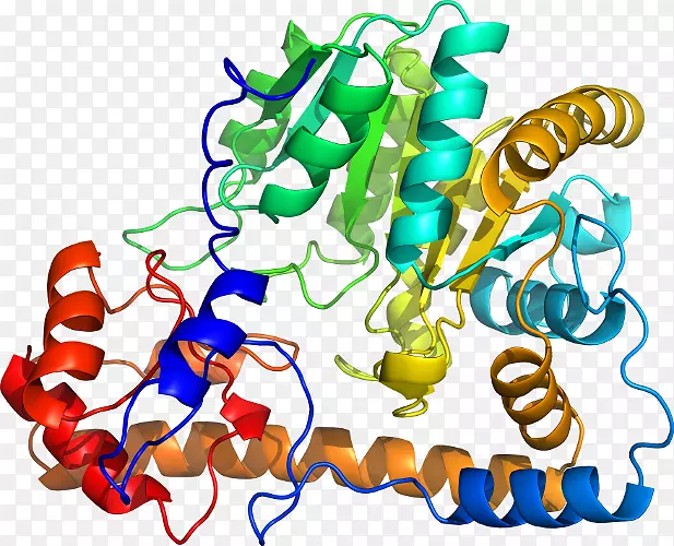 �����߶����������-������