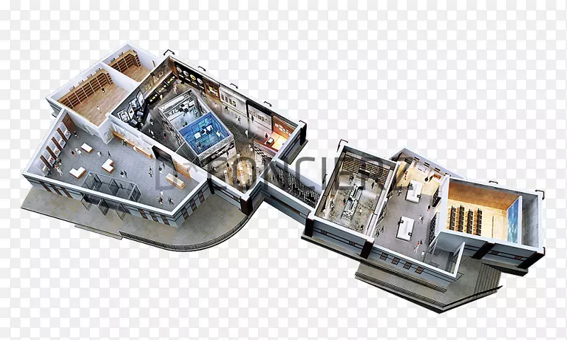 չ�����չ�������������-������