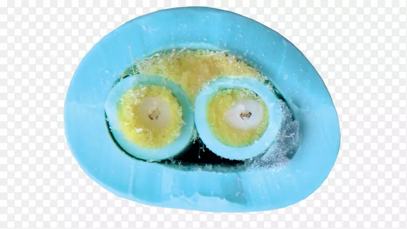 ��������-10 gbaset-������