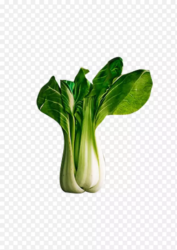 �߲�ʳƷ�����ײ˳������߲�-������