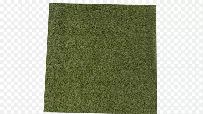 Ӳ��Ǯ���о���-��ά����-������