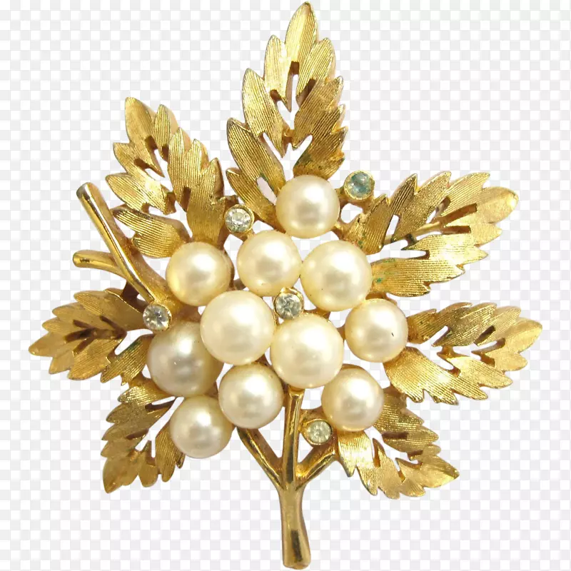 ��������.�鱦-������