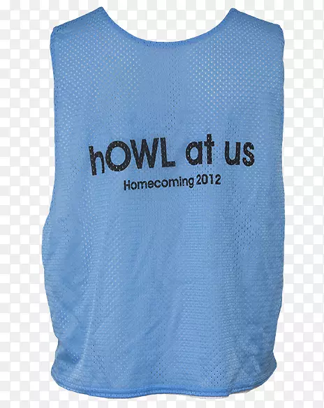 T���ƽ��������-èͷӥ��-������