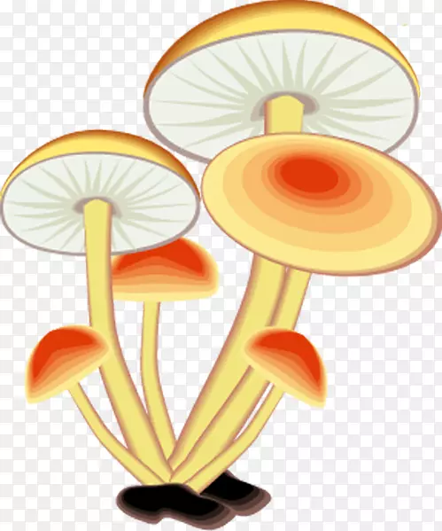 ��ֽ���������-������