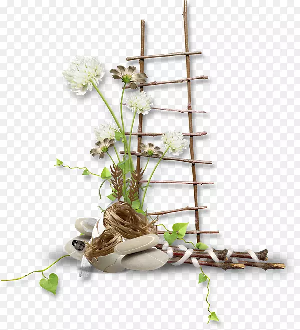 ���˲��ͻ�����Ʋ���-������