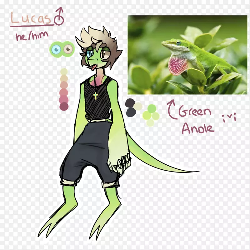 ��ɫ�鹹����ֲ��-����ŵ��������-������