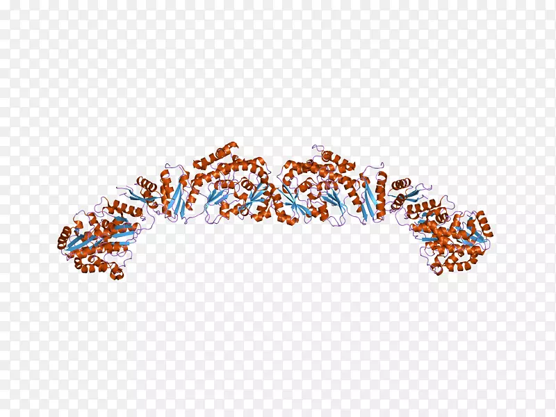 �������鱦����-�鱦-������