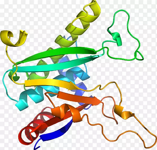 ֲ�ﾥ�߶����������-������