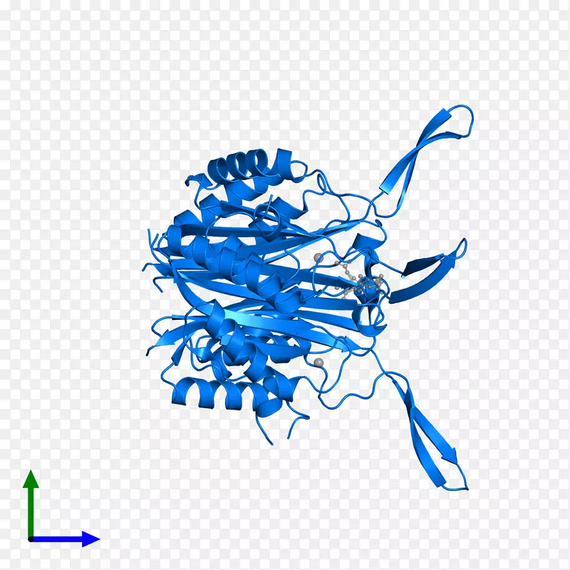 �л����߼�������-������