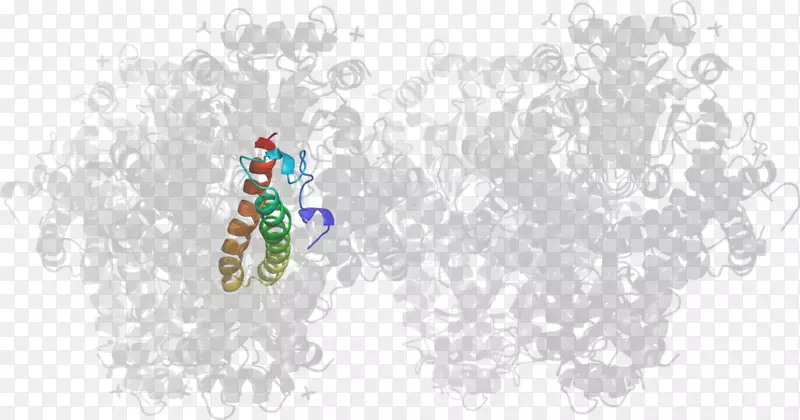 ���������ֽ���鱦����-������