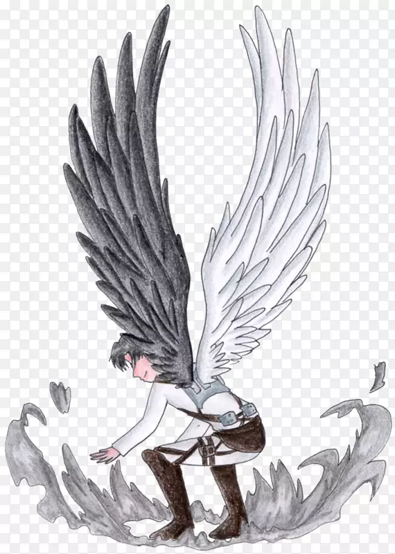 ����������ë�����ɵĳ��-������