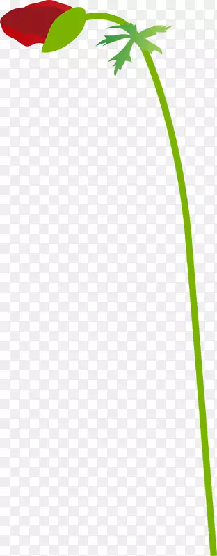 �̲�ֲ�ﾥҶ-������