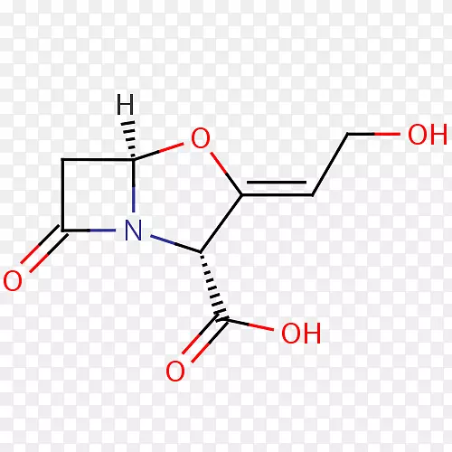 ֱ�ߵ����-������