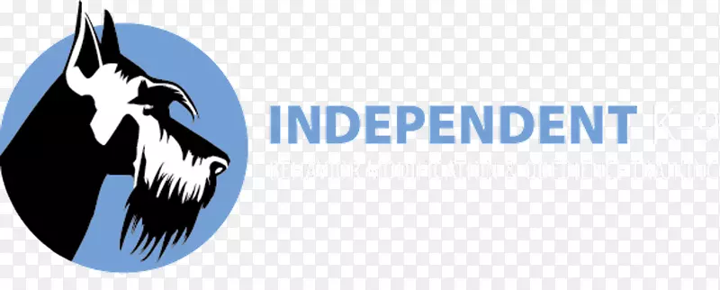 �̱������ֽ�������-������