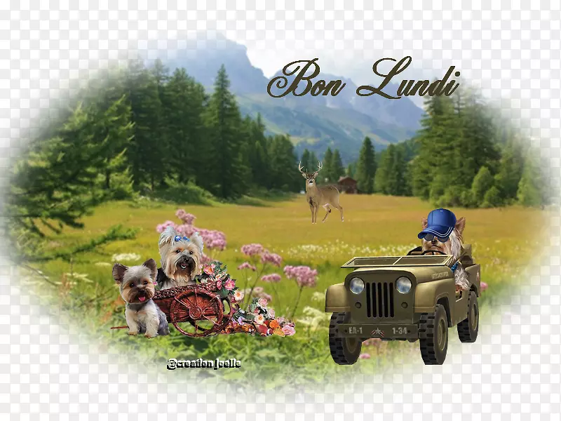 ��������ð�յ�Ӱ-Լ��-������