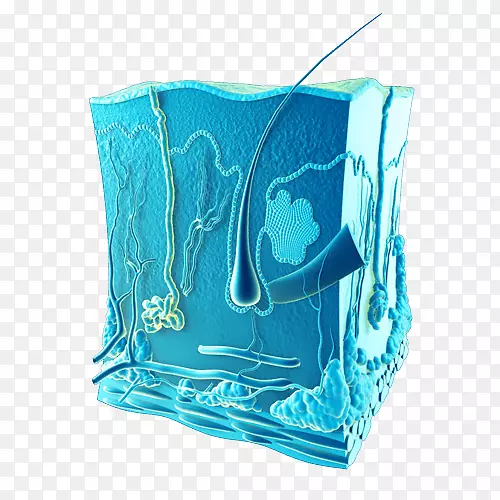 ����ʯ�������-������