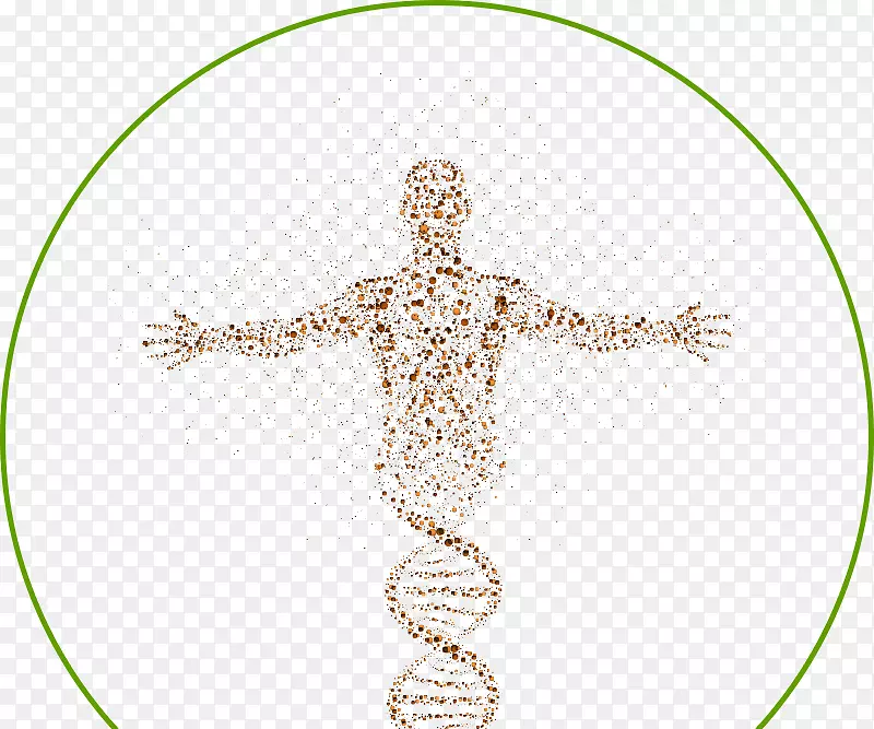 ���������ϸ����ѧ��������-��ѧ-������