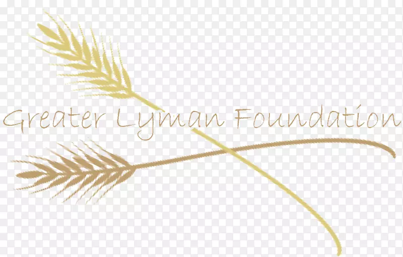 ����Ʒ��������-������