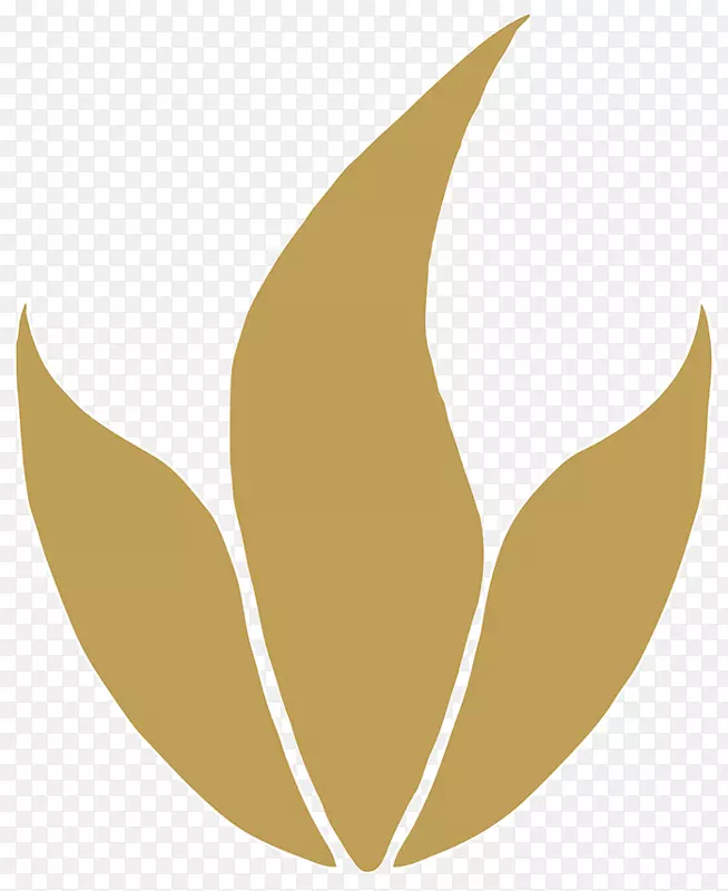 Ҷ����-������