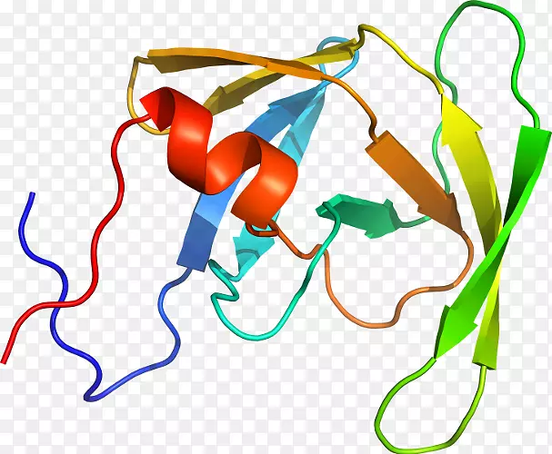 �ߵ������-��-������