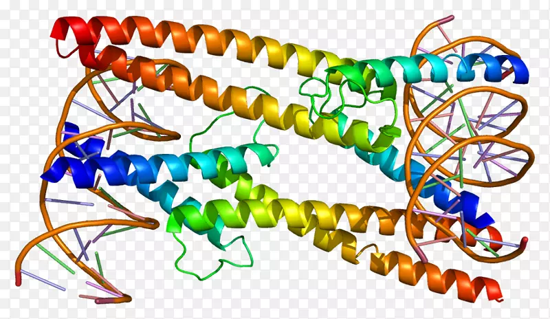 ���������鱦�л�����������鱦����-������