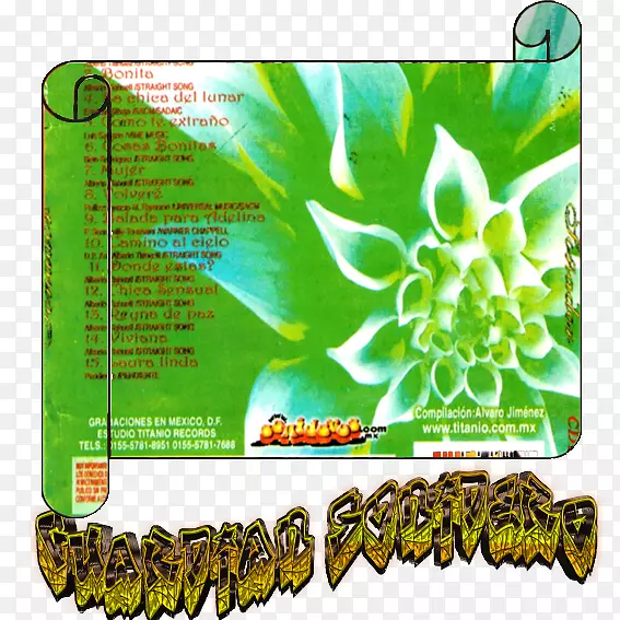 ������ëƤ����������¼����-������