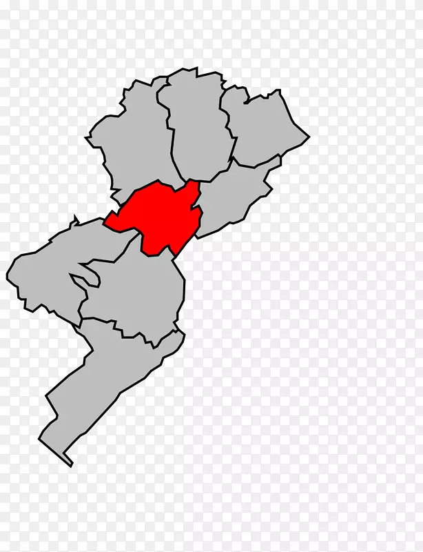 ��ͨ����ֲ���ɫ������-������-������