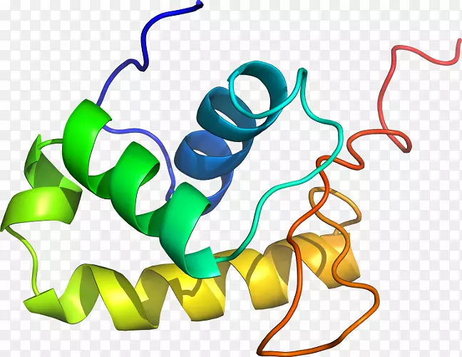 �����鱦������.�鱦-������