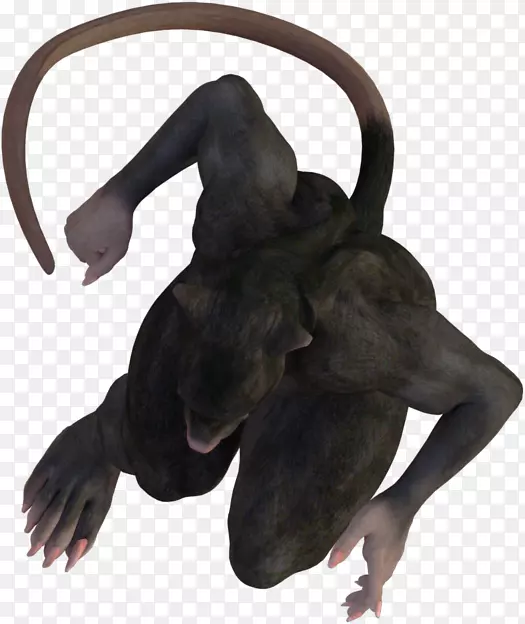 ���ң�ëƤ�����ӣ����ߣ�����-ʢ�������۾���˾-������