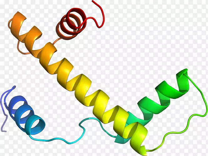 �ߵ������������-������