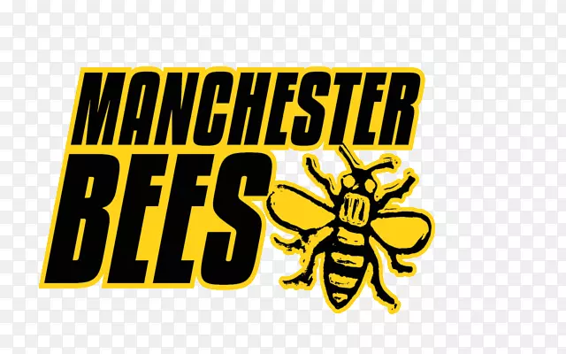 �̱���������-����˹���۷����-������