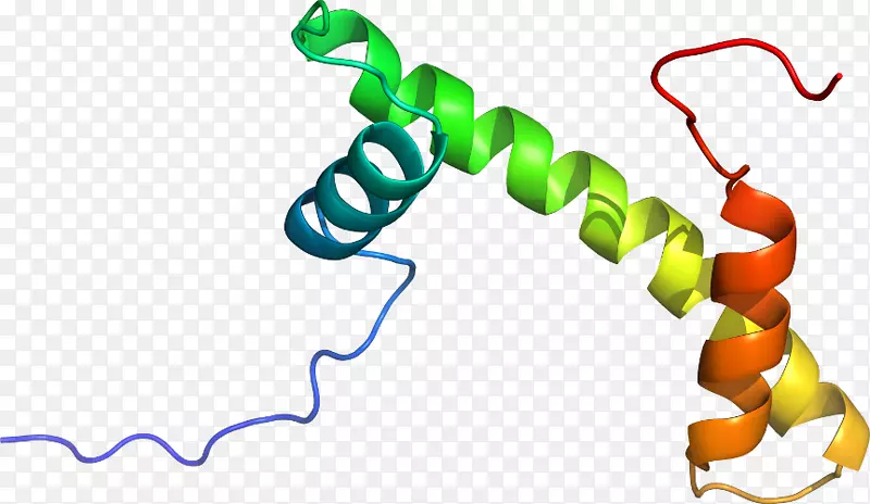 �ߵ������������-������