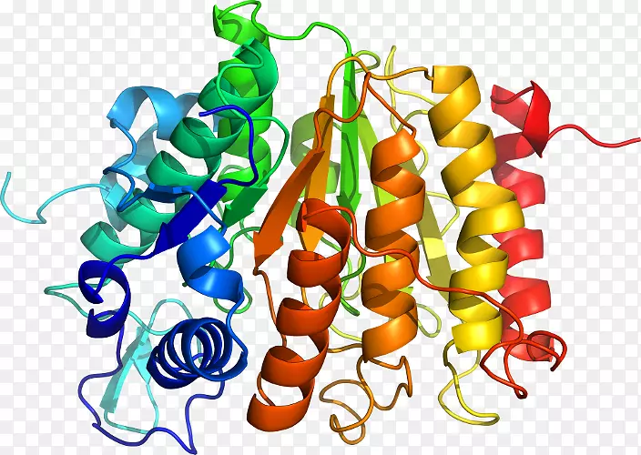 �߲��л��������-�߲�-������