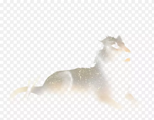 �������ֽ���ӹ�-������