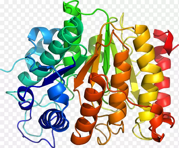 �߲��л��������-�߲�-������