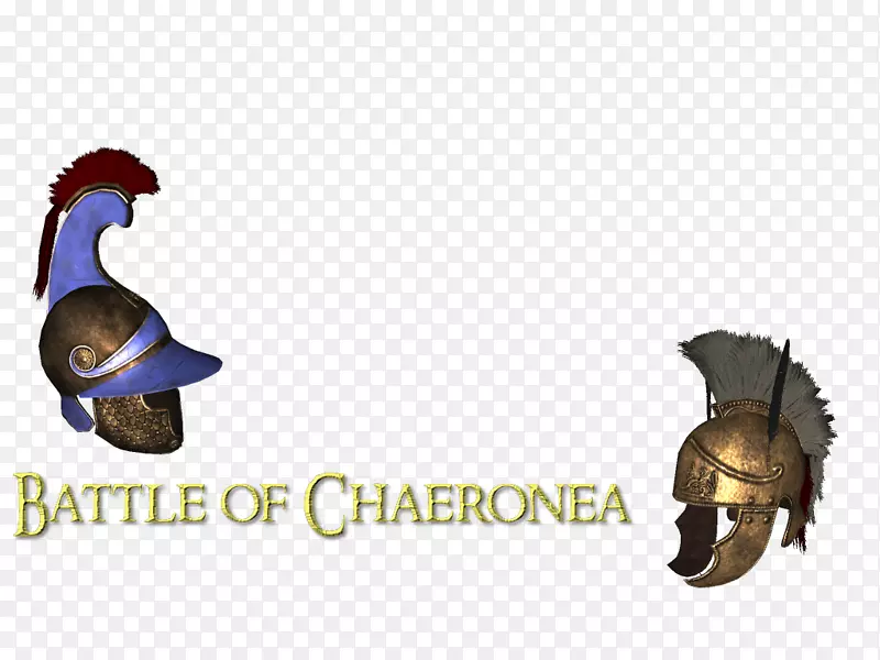 �ձꡢ๡������������ħ�����尲װ��ҶƬģ��-������