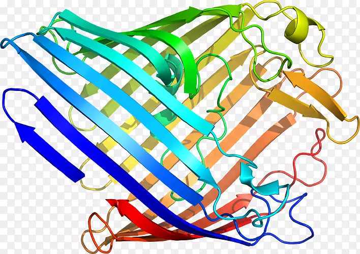 �ߵ������������-������