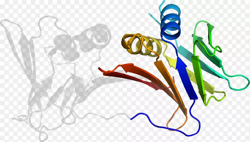 ��ָƽ�����������������.�ӹ���-������