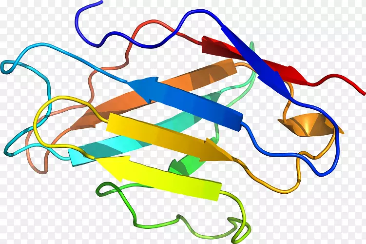 �ߵ������-��-������