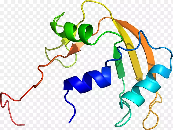 �ߵ������������-������