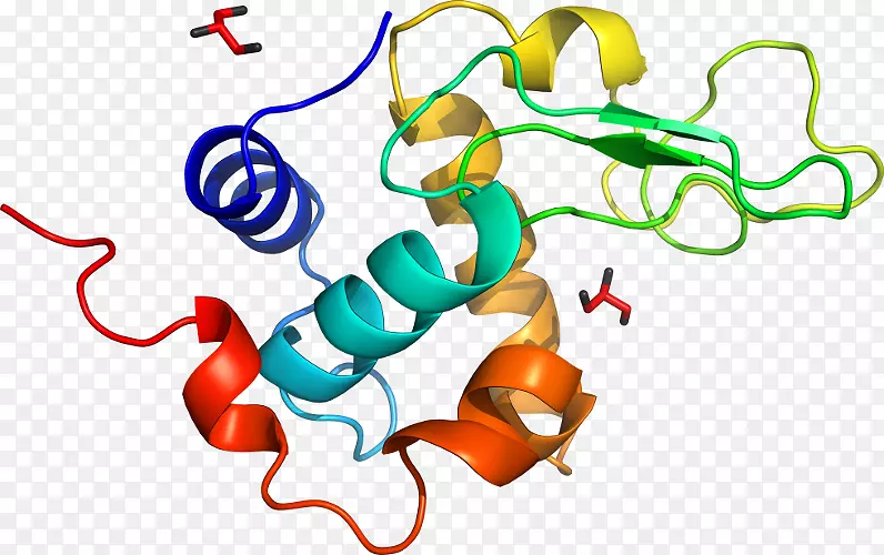 �ߵ������������-������