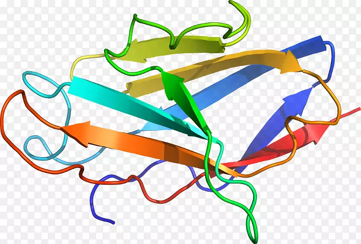 �ߵ������-��-������