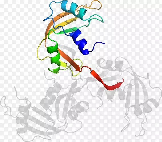 �ߵ������������-������